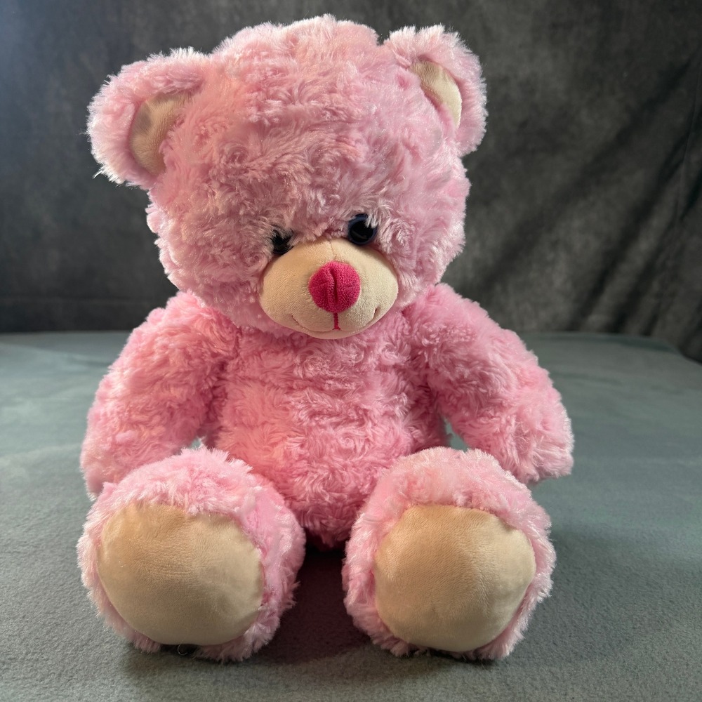 Build-A-Bear Workshop Pink Curly Fur Teddy Bear Plush 16 Inch BAB Paw Patch